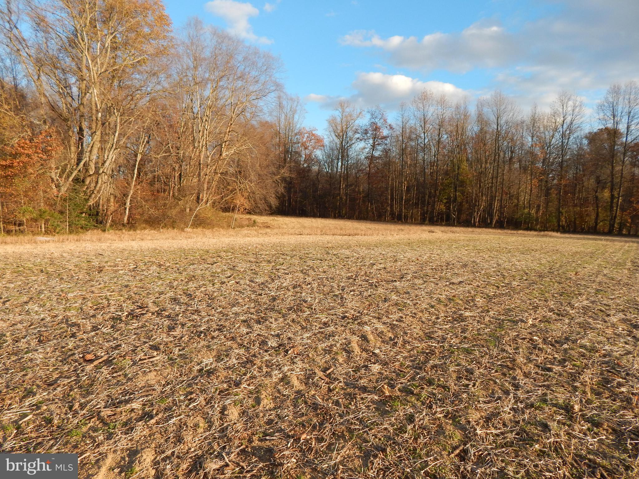 151 Anchor Inn Road Townsend, DE 19734 - Photo 17 of 25