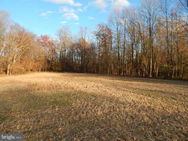a view of outdoor space with trees
