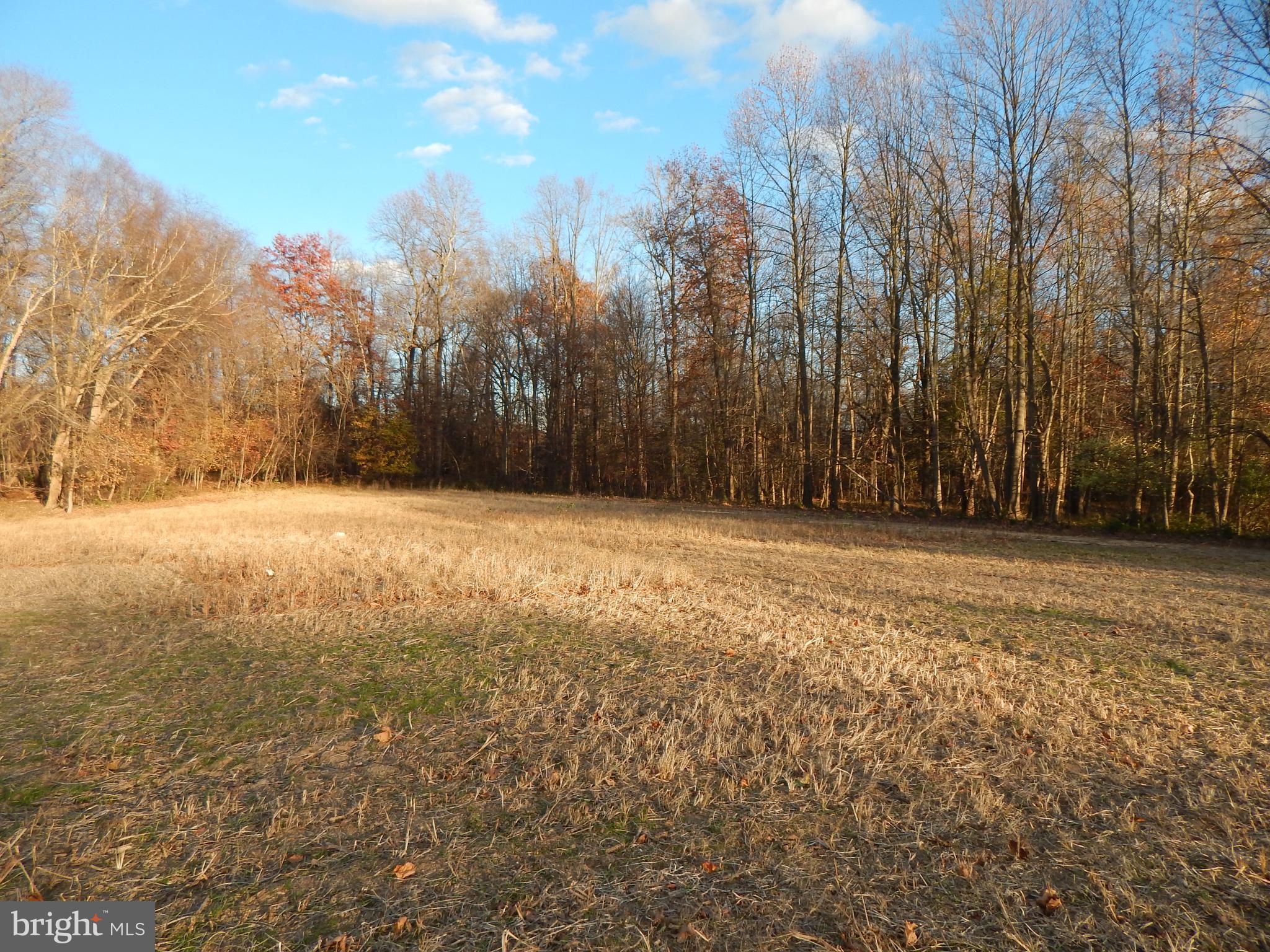 151 Anchor Inn Road Townsend, DE 19734 - Photo 18 of 25