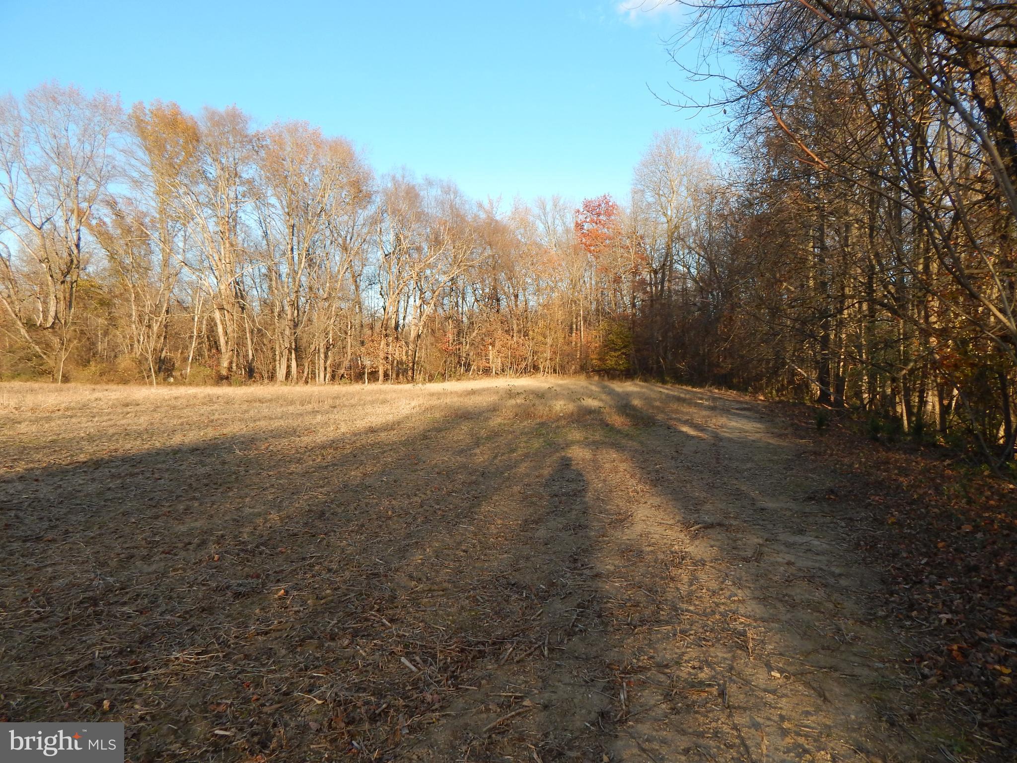 151 Anchor Inn Road Townsend, DE 19734 - Photo 19 of 25