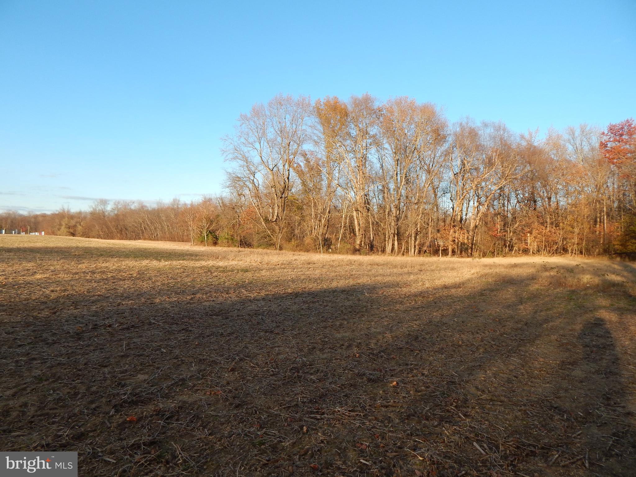 151 Anchor Inn Road Townsend, DE 19734 - Photo 20 of 25