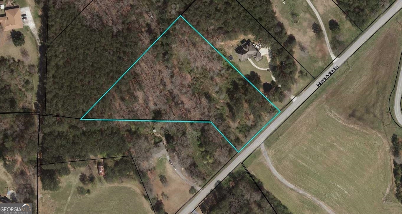 0 Morgan Valley Road Rockmart, GA 30153 - Photo 1 of 1 Gallery Image 1