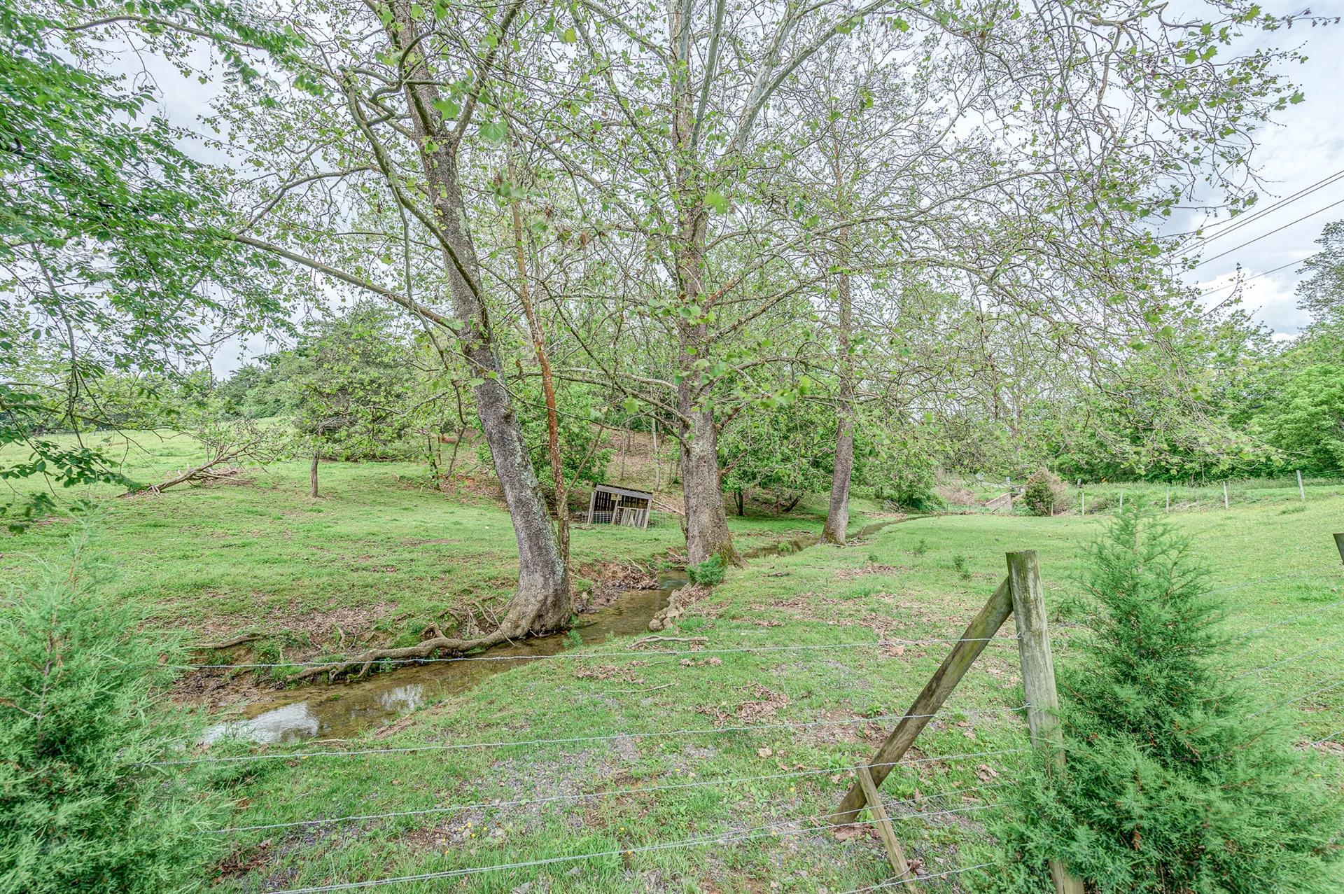 1986 Springwood Road Fincastle, VA 24090 - Photo 11 of 49 47-1986 Springwood Rd 047