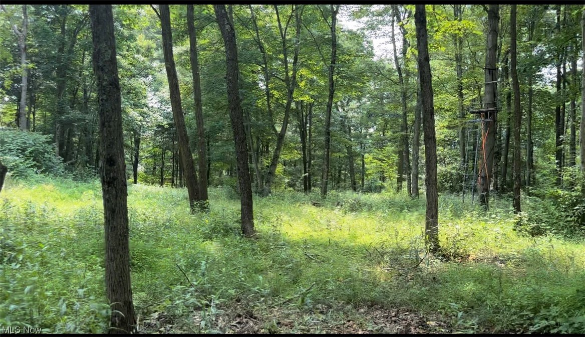 43 State Rte 43 Route Amsterdam, OH 43903 - Photo 28 of 29 Gallery Image 28