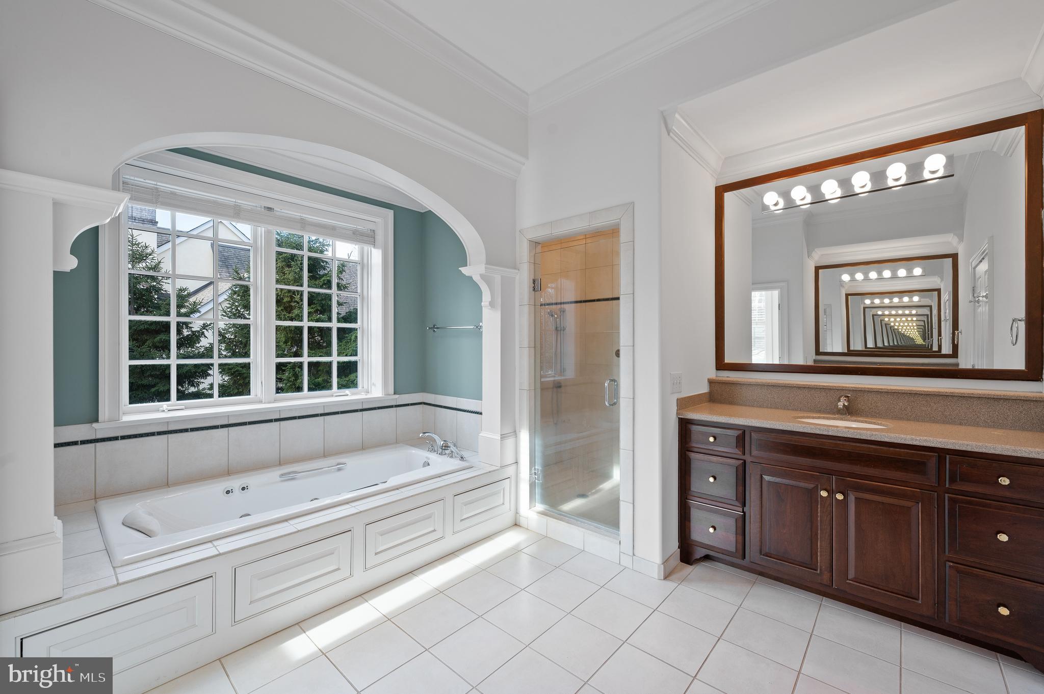 1659 Boot Road West Chester, PA 19380 - Photo 35 of 65 a bathroom with a bathtub sink and mirror