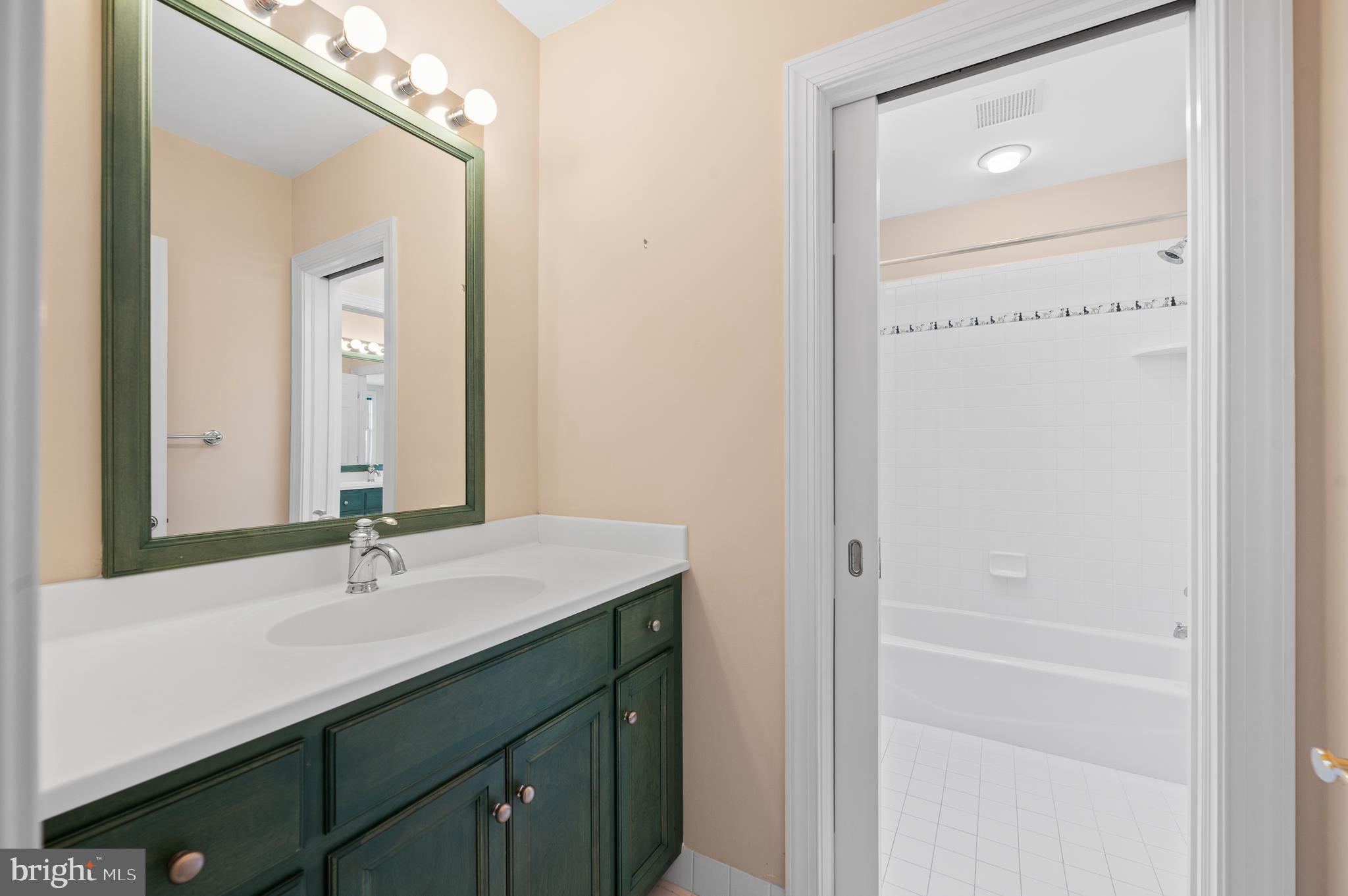 1659 Boot Road West Chester, PA 19380 - Photo 42 of 65 a bathroom with a sink vanity and a mirror