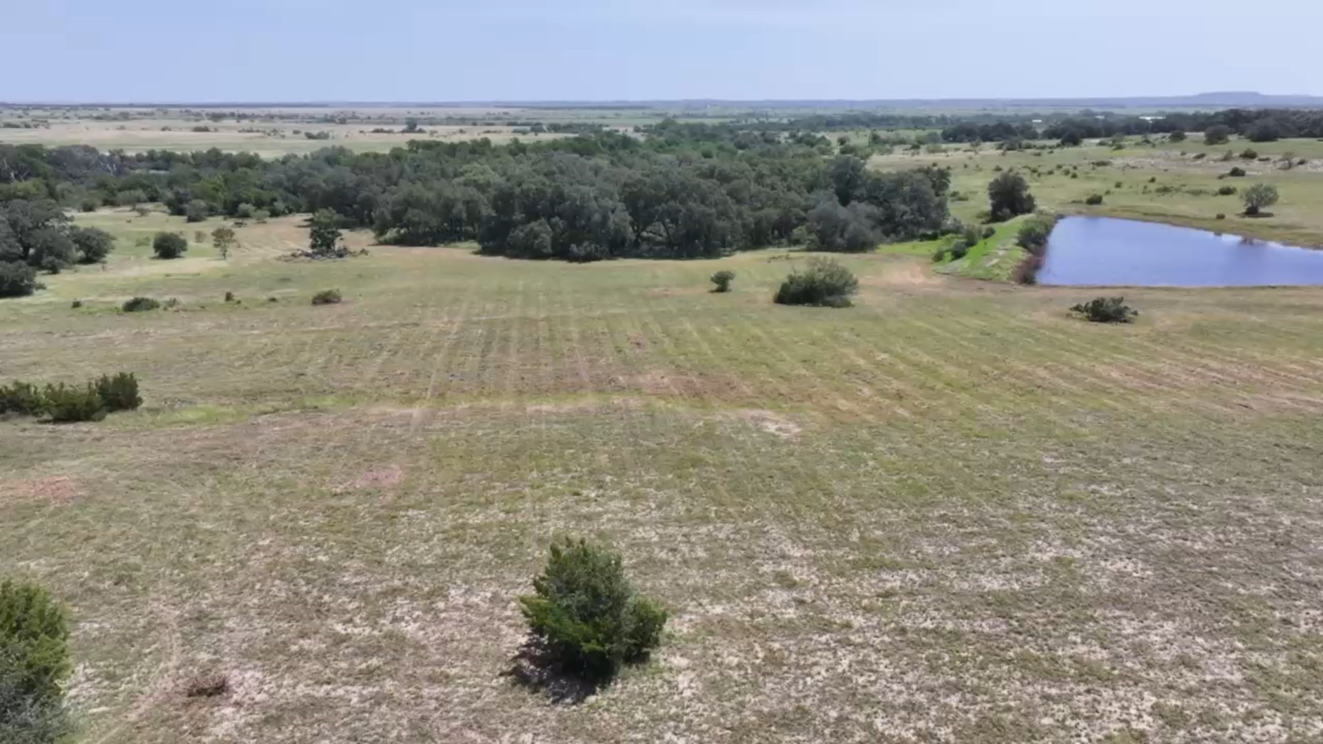 276 County Road 276 Bertram, TX 78605 - Photo 6 of 23 a view of a dry yard with trees