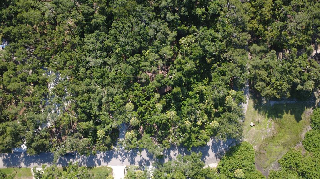 4632 Stone Ridge Trail Sarasota, FL 34232 - Photo 8 of 15 a view of a lake with a tree