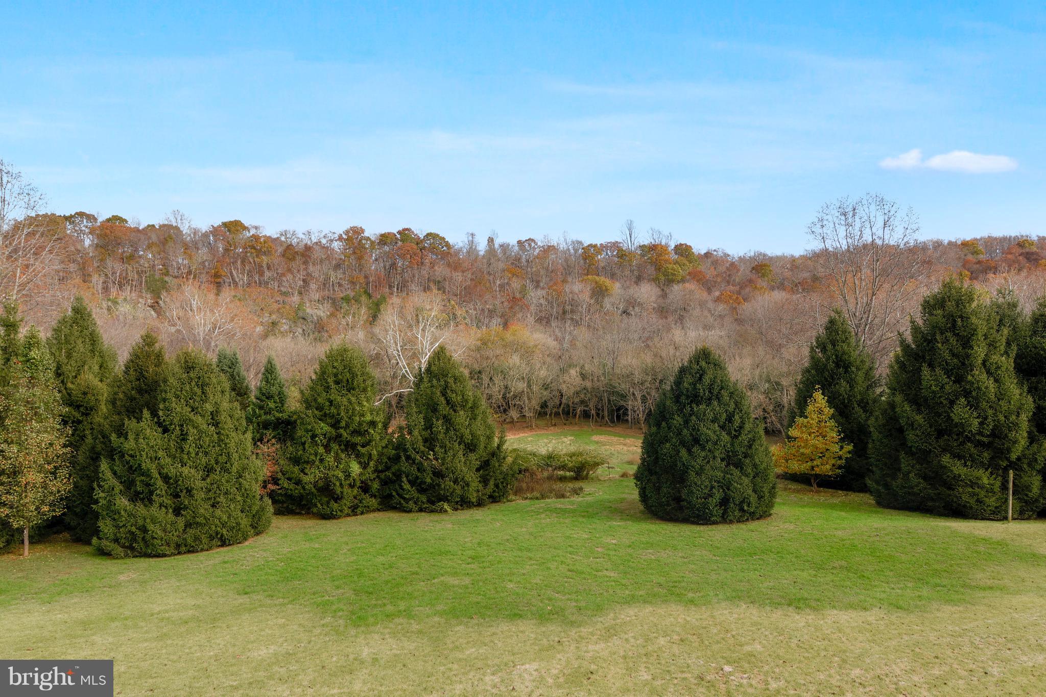 38243 Lime Kiln Road Middleburg, VA 20117 - Photo 11 of 94 Mature Pines, and gorgeous private lot