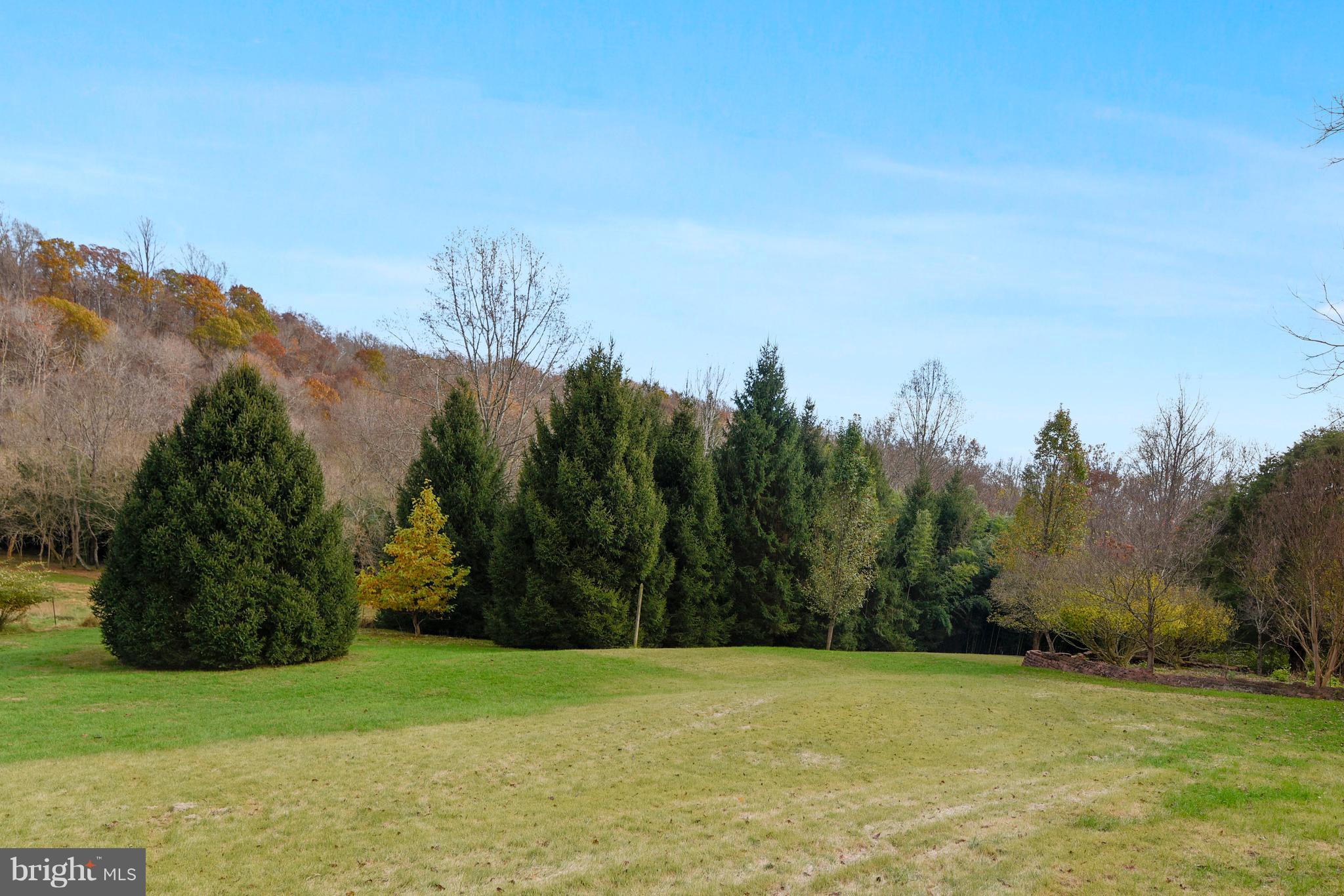 38243 Lime Kiln Road Middleburg, VA 20117 - Photo 4 of 94 Rear Yard facing Goose Creek