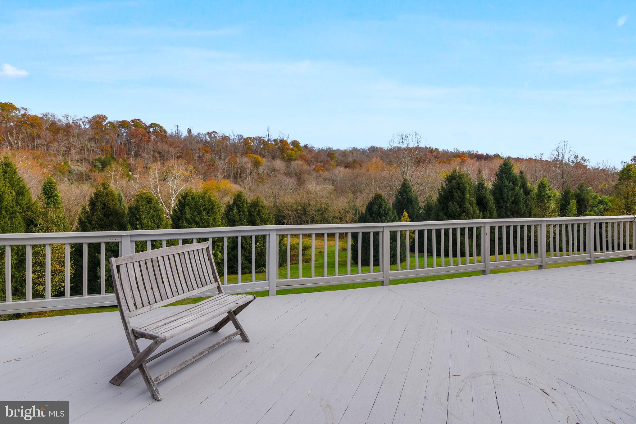 38243 Lime Kiln Road Middleburg, VA 20117 - Photo 32 of 94 Expansive rear and side deck