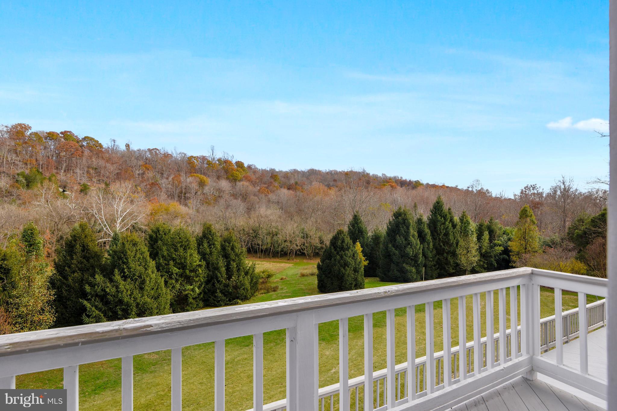 38243 Lime Kiln Road Middleburg, VA 20117 - Photo 42 of 94 Master Bedroom Deck