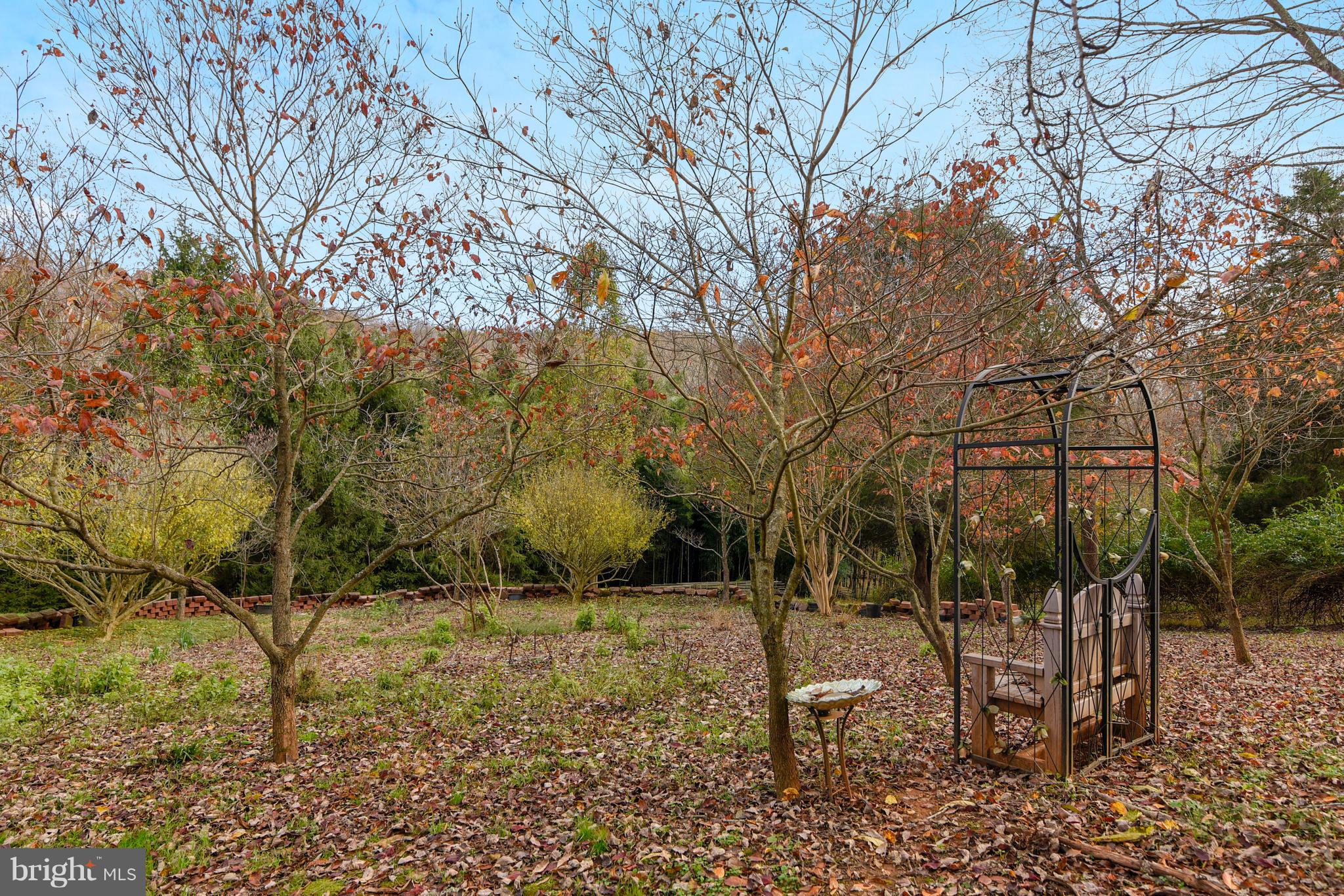 38243 Lime Kiln Road Middleburg, VA 20117 - Photo 10 of 94 Lot, peaceful side yard