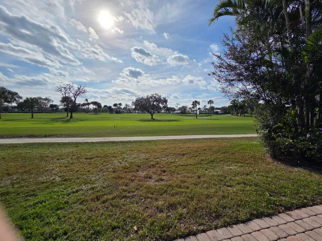 a view of a big yard with a large trees