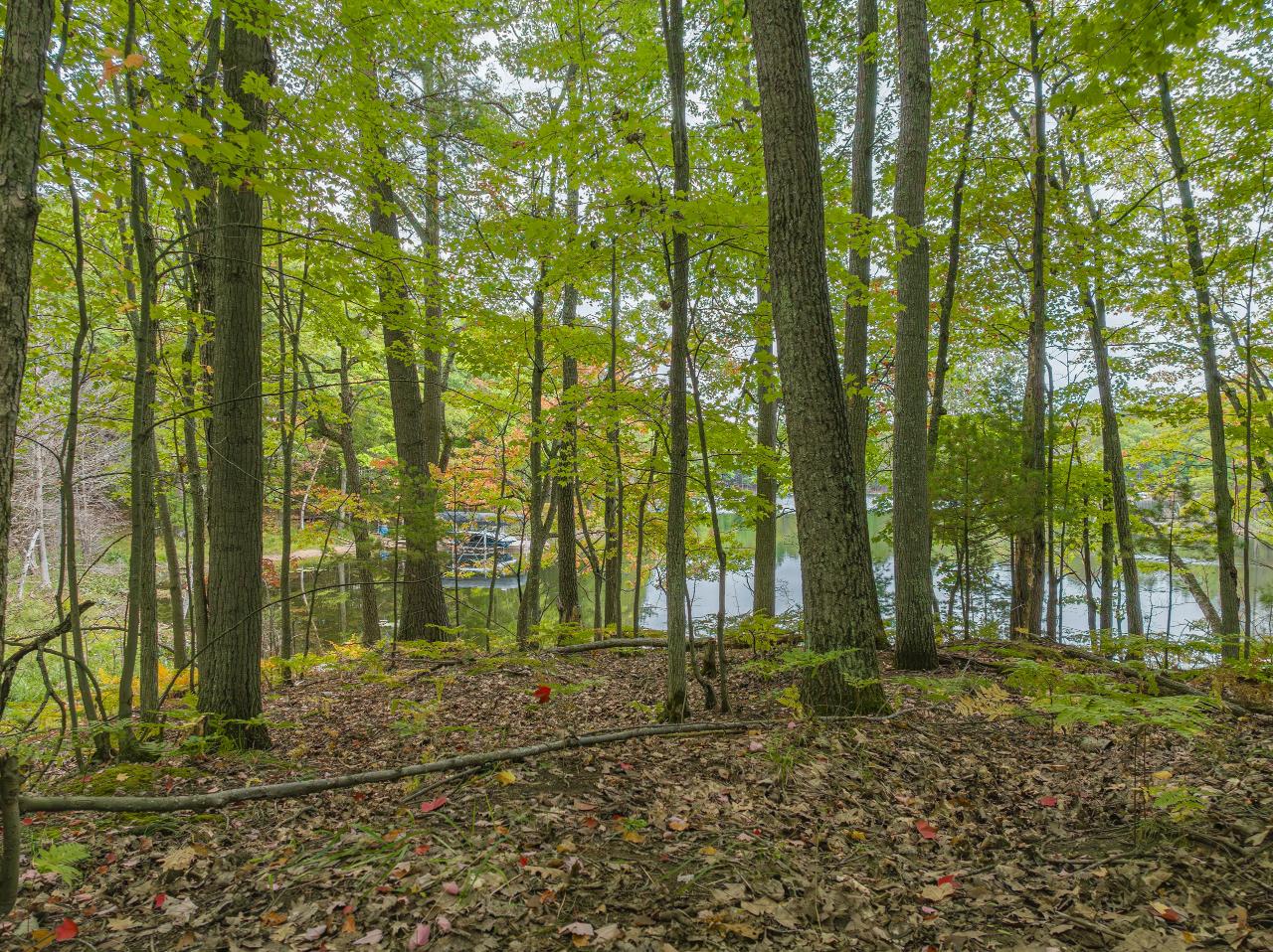 10397 Cedar Falls Road Hazelhurst, WI 54531 - Photo 79 of 87 Gallery Image 79