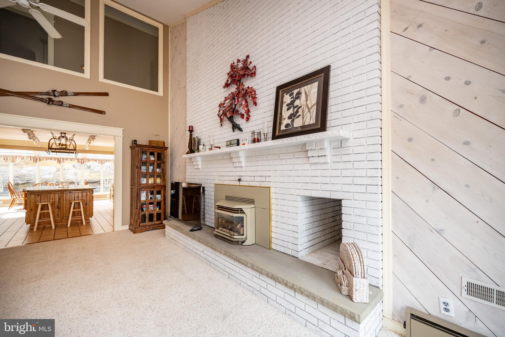 1909 Marsh Hill Road McHenry, MD 21541 - Photo 13 of 113