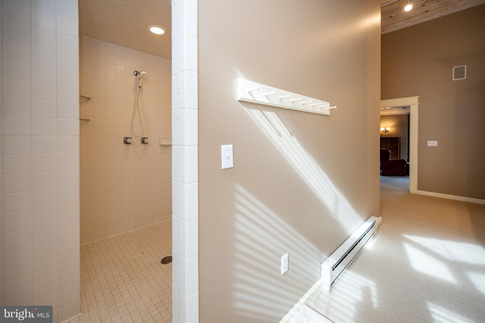 1909 Marsh Hill Road McHenry, MD 21541 - Photo 37 of 113