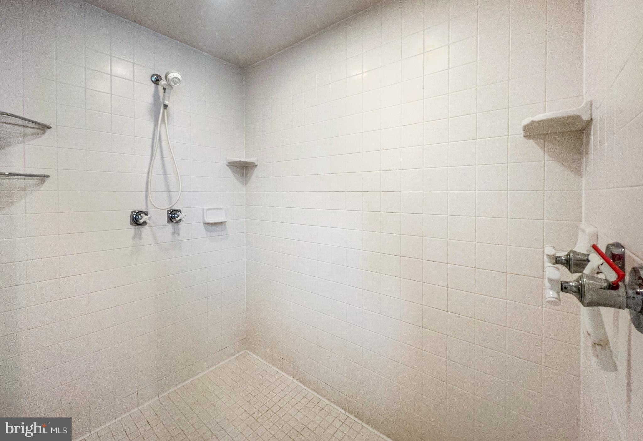 1909 Marsh Hill Road McHenry, MD 21541 - Photo 38 of 113