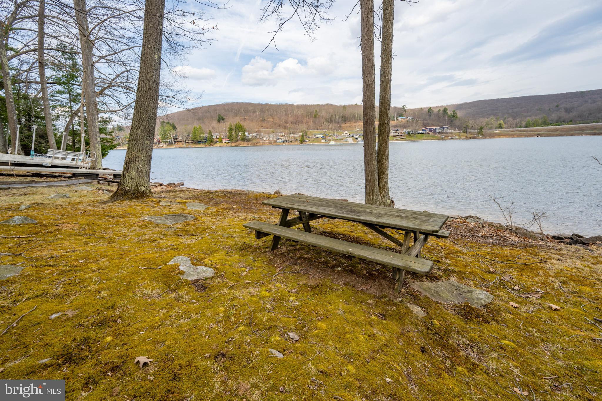 1909 Marsh Hill Road McHenry, MD 21541 - Photo 6 of 113