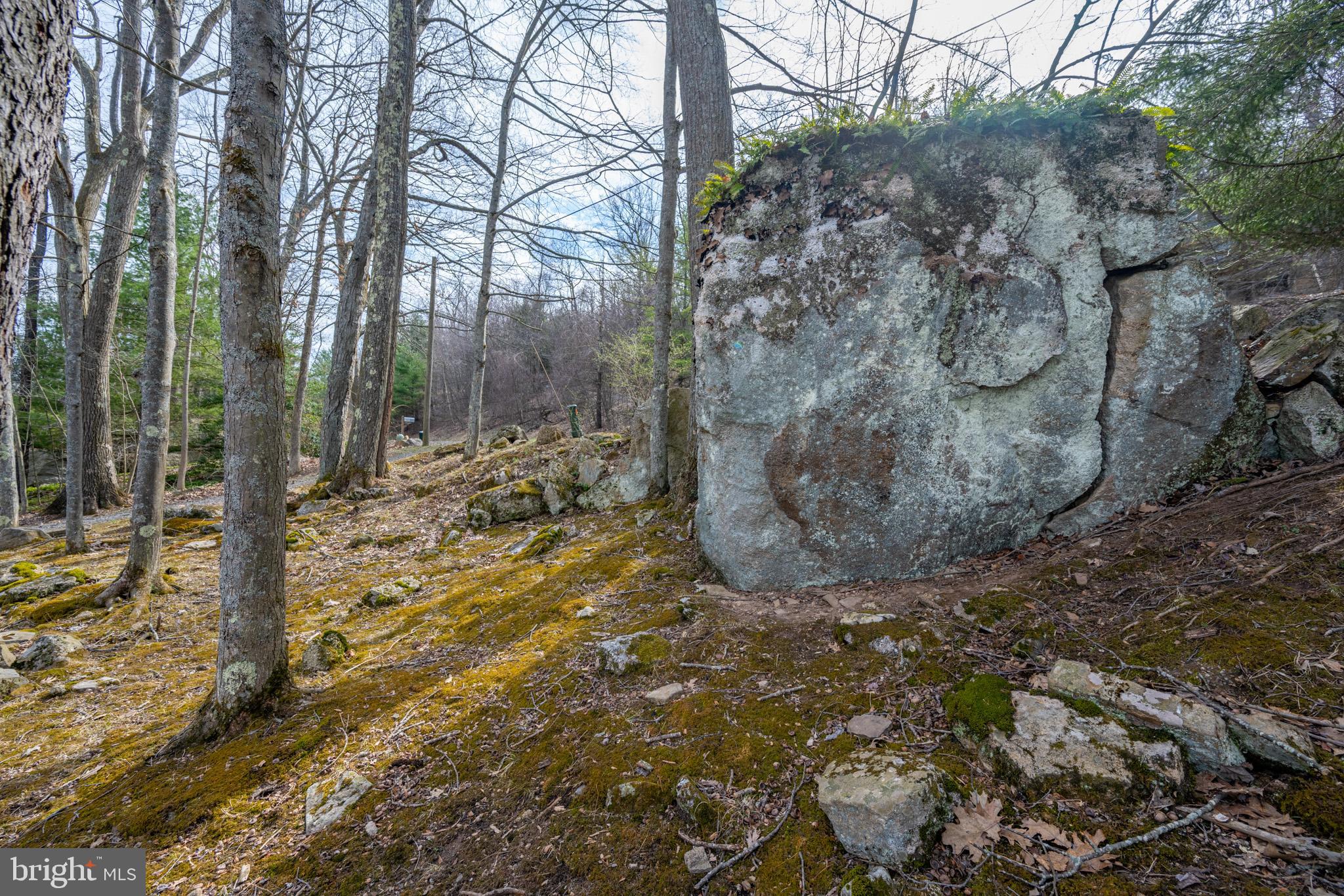 1909 Marsh Hill Road McHenry, MD 21541 - Photo 91 of 113