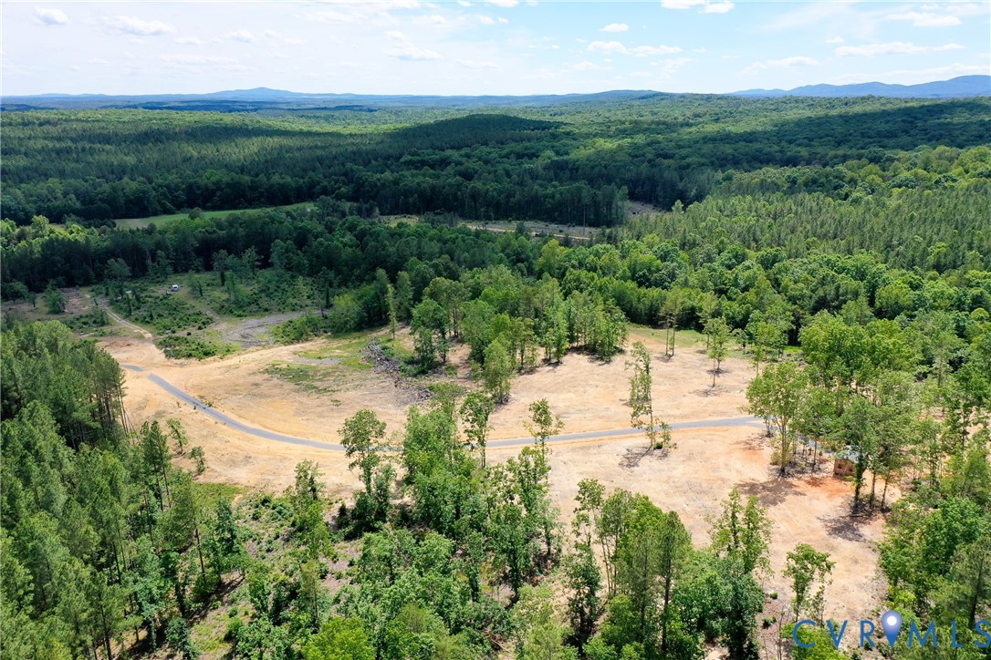0 Mt Alto Road Esmont, VA 22937 - Photo 20 of 34