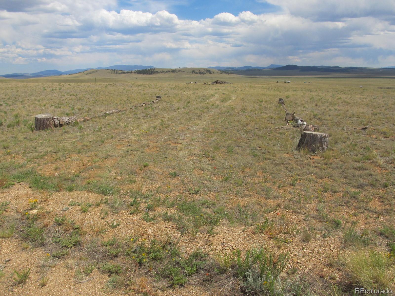 232 Routt Road Hartsel, CO 80449 - Photo 1 of 4
