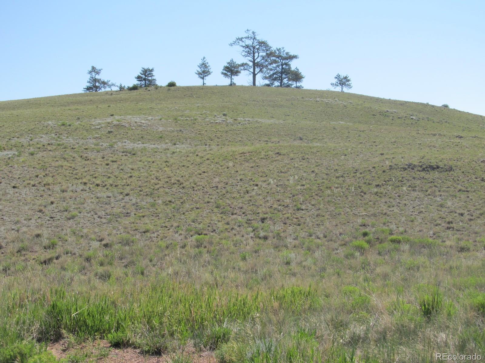 232 Routt Road Hartsel, CO 80449 - Photo 3 of 4