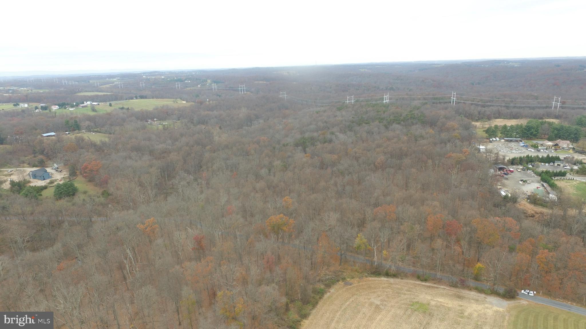 Gue Road Damascus, MD 20872 - Photo 3 of 10 a view of a yard