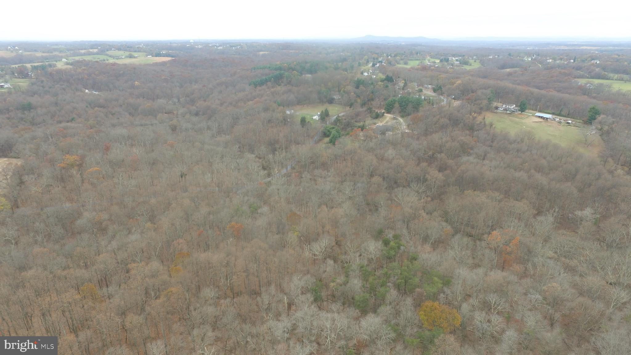 Gue Road Damascus, MD 20872 - Photo 6 of 10 a view of a city
