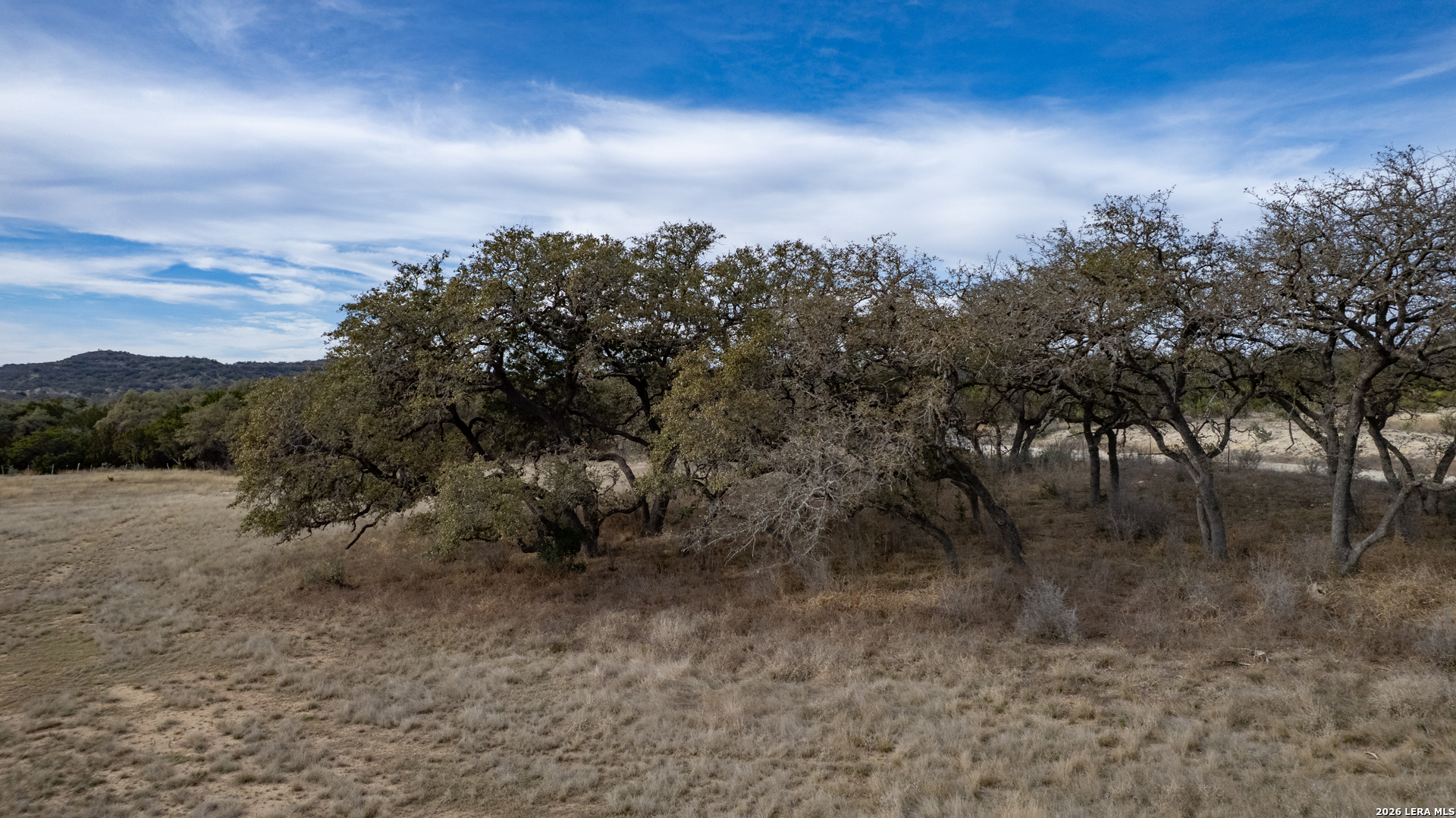 0 Little Dry Frio Road Rio Frio, TX 78879 - Photo 11 of 17 a view of a bunch of trees in a field