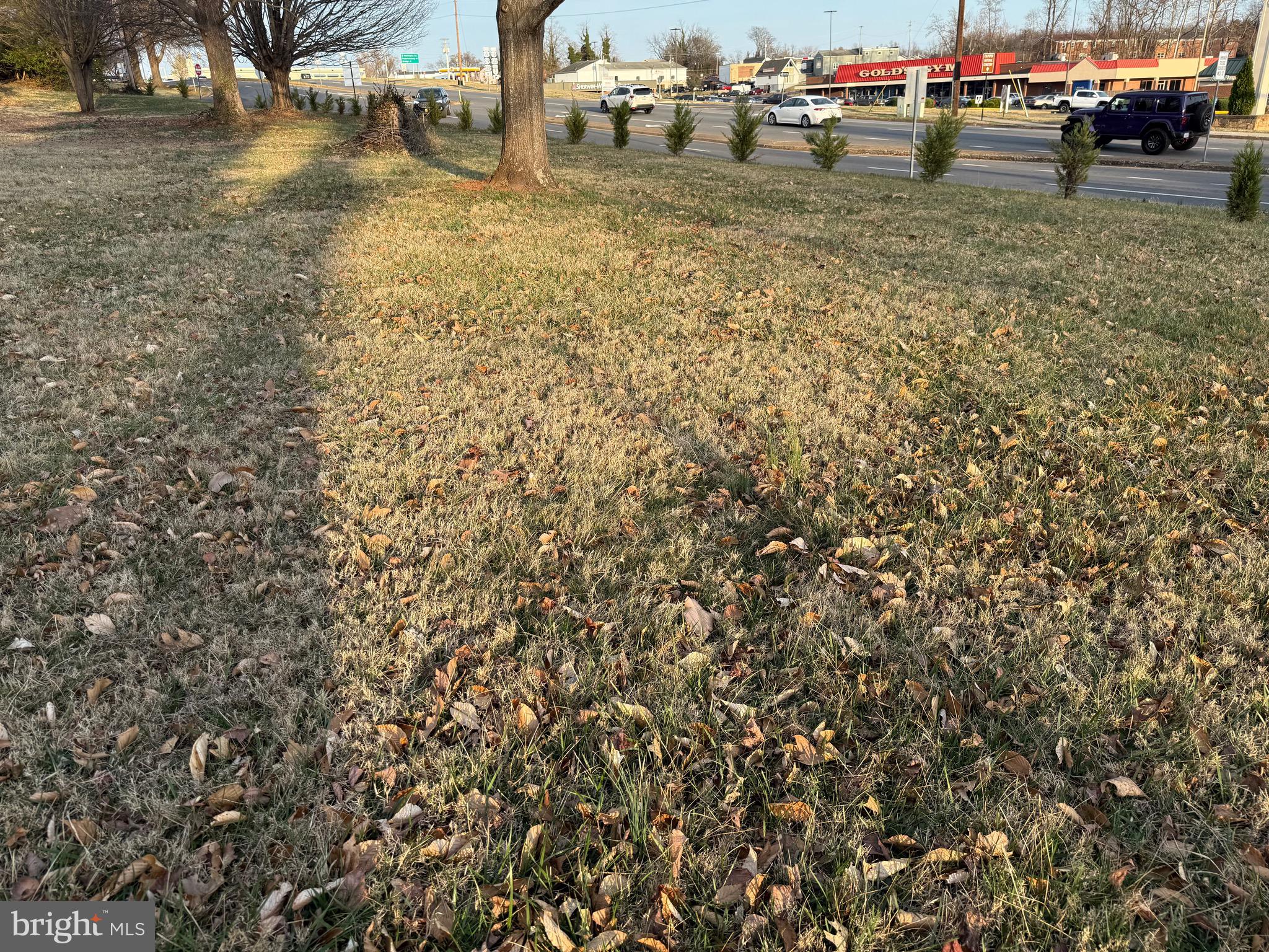 Madison Road Culpeper, VA 22701 - Photo 4 of 5