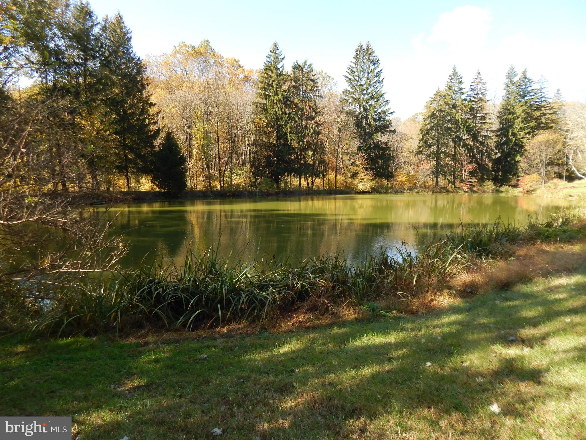 404 Locust Road Boyertown, PA 19512 - Photo 14 of 32 Gallery Image 14