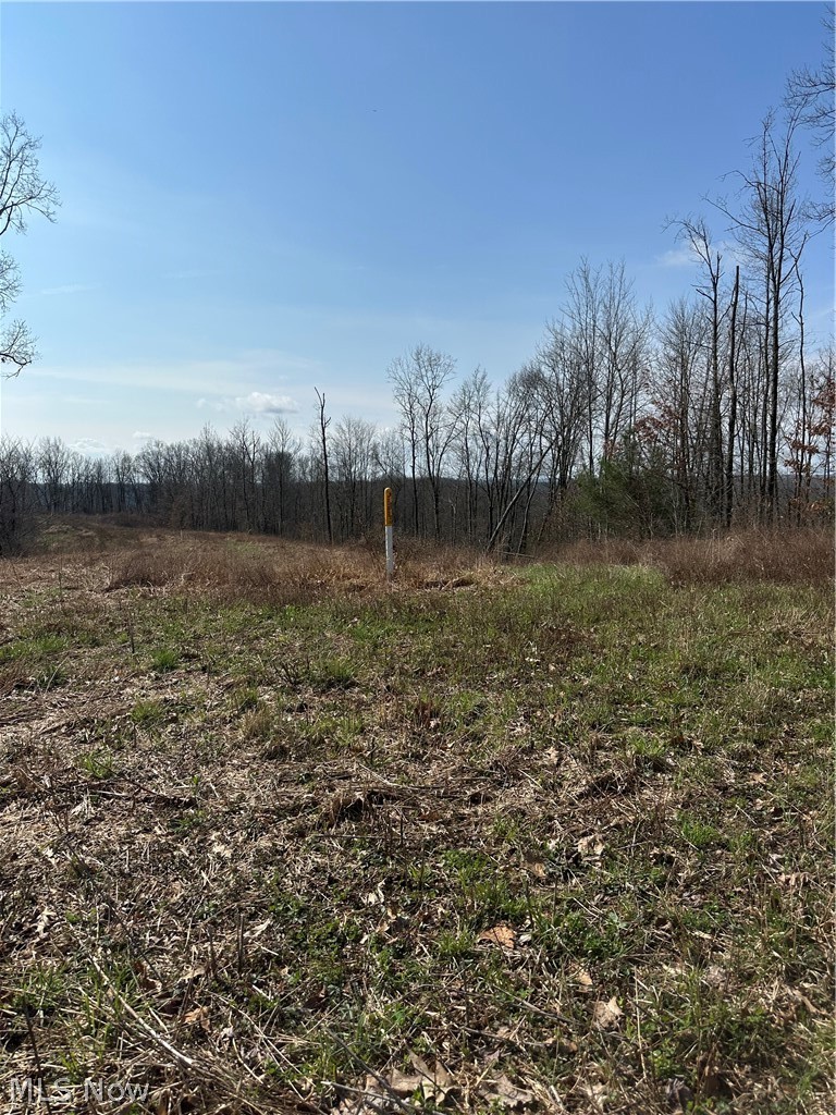 44800 Jim Stimpert Road Lewisville, OH 43754 - Photo 28 of 49 Field with Gas Marker / Easement for Natural Gas line through property
