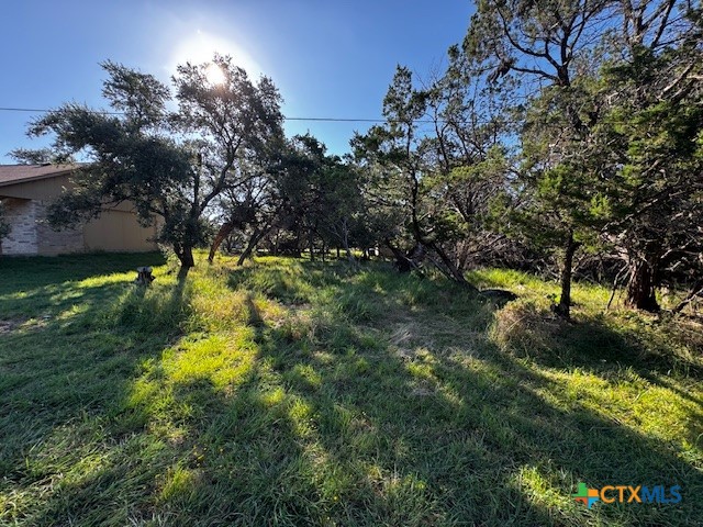 5 Spruce Drive Belton, TX 76513 - Photo 19 of 26