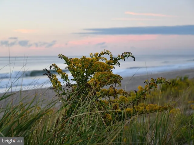 $3,499,000 | 22 East 7th Street, Barnegat Light, NJ 08006