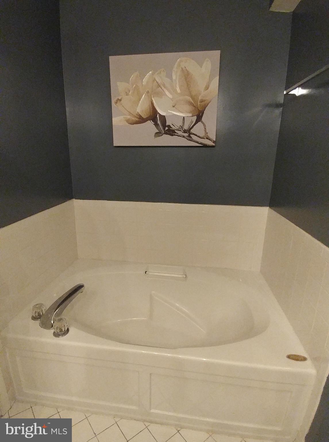 6809 Stone Maple Terrace, Unit A Centreville, VA 20121 - Photo 10 of 16 Bath (Master)