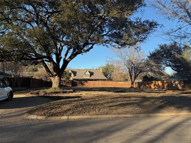a view of a road with large trees