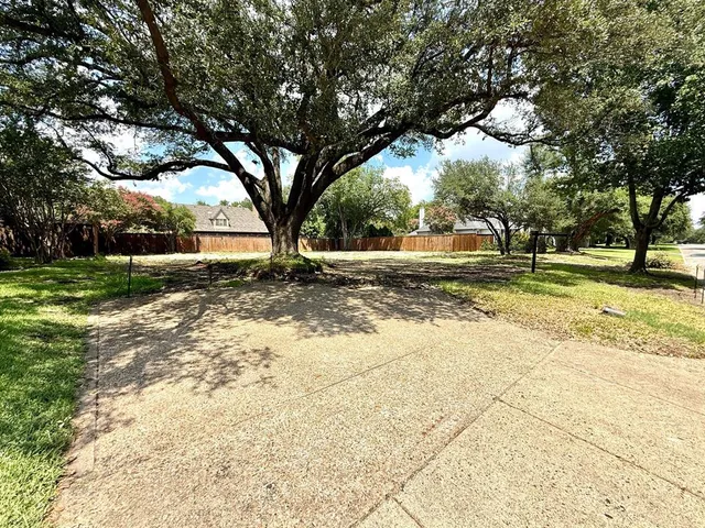 a view of large trees with a big yard