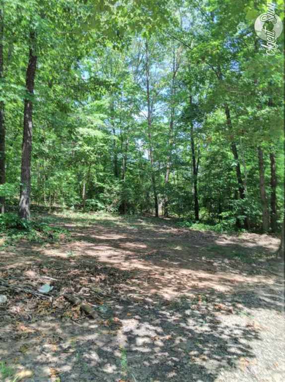 180 Upper Springs Road Pickens, SC 29671 - Photo 5 of 17
