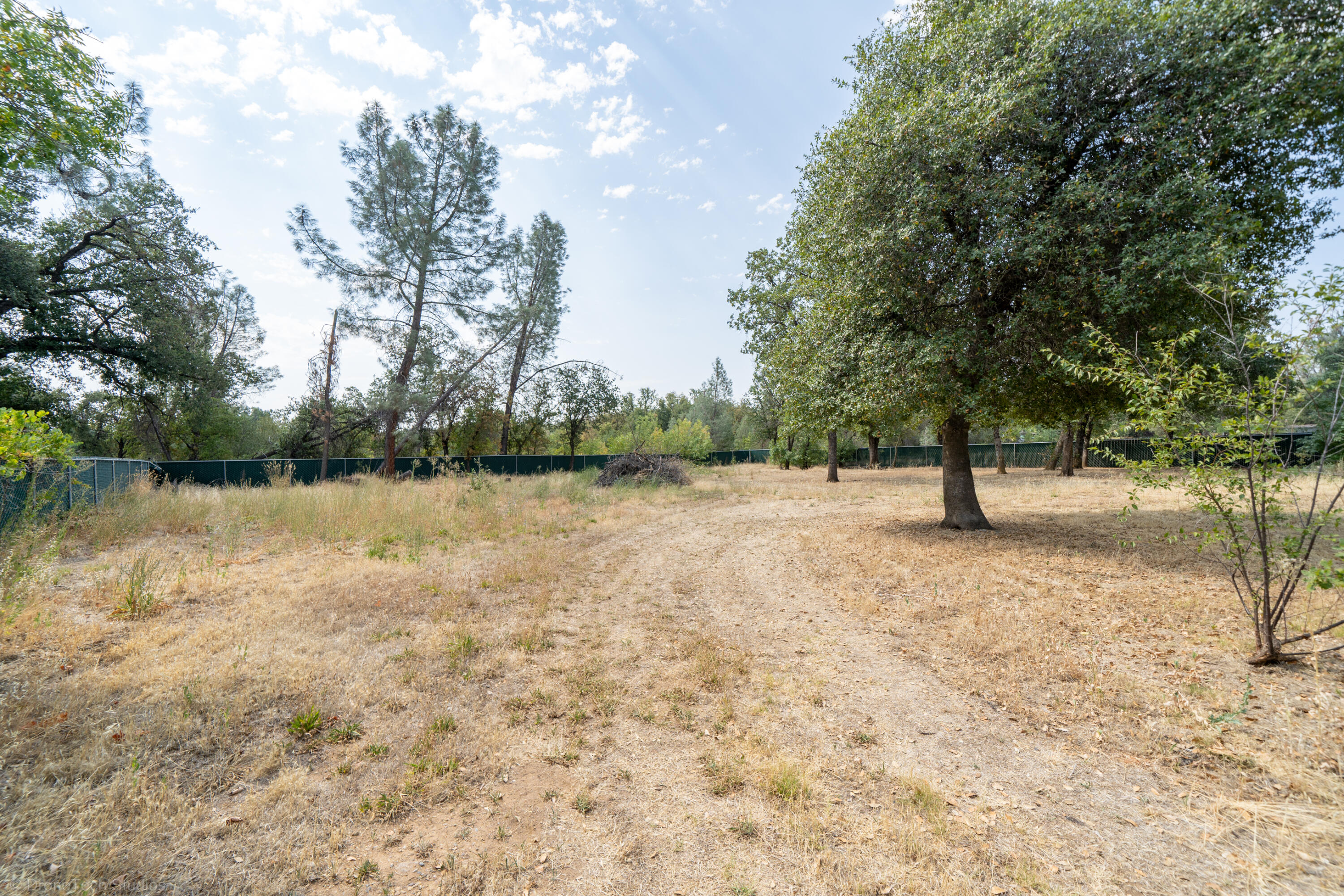 7673 Happy Valley Road Anderson, CA 96007 - Photo 55 of 72 a view of lake with tree