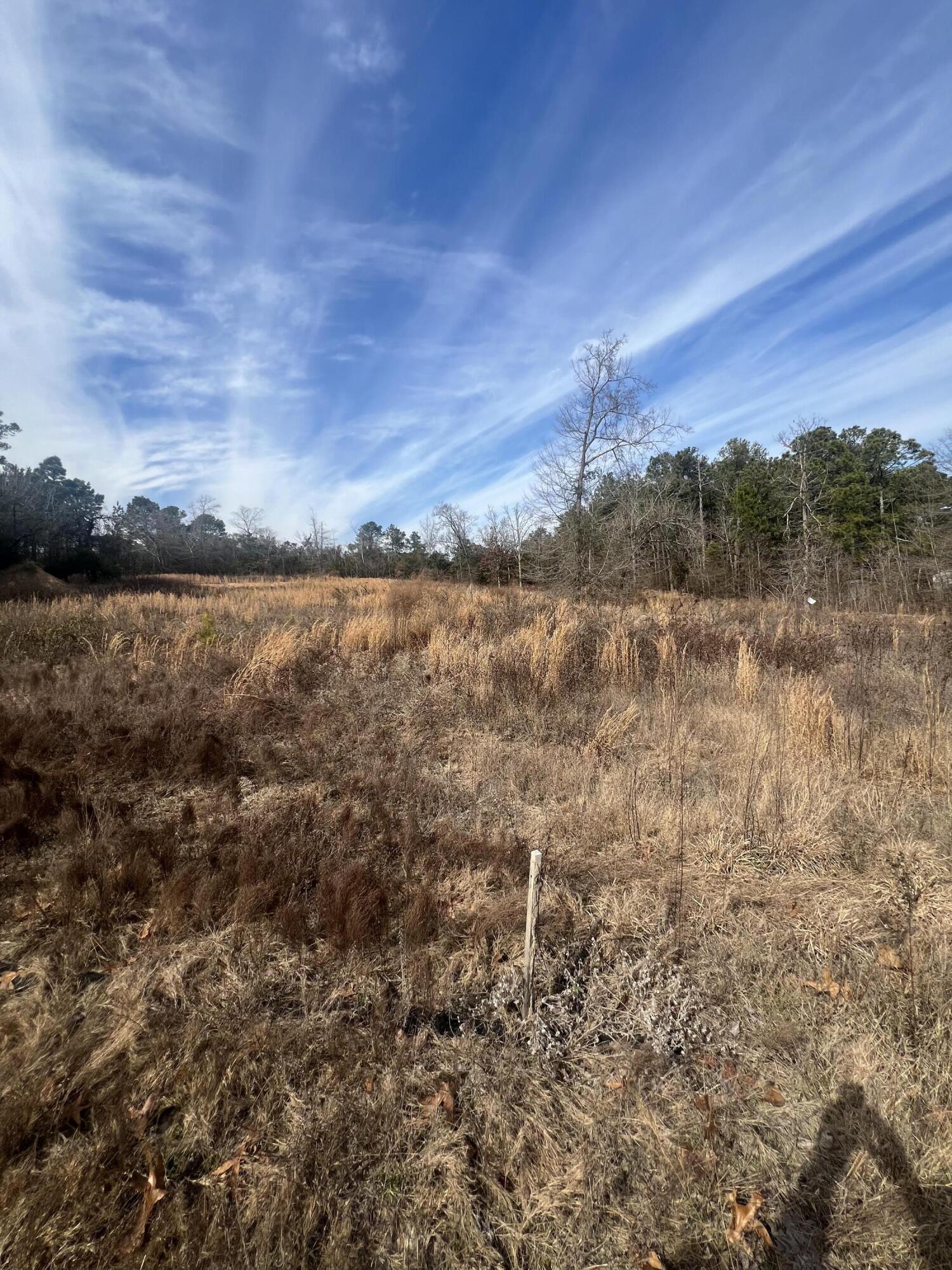 1650 Broad Street Leesville, SC 29070 - Photo 2 of 8