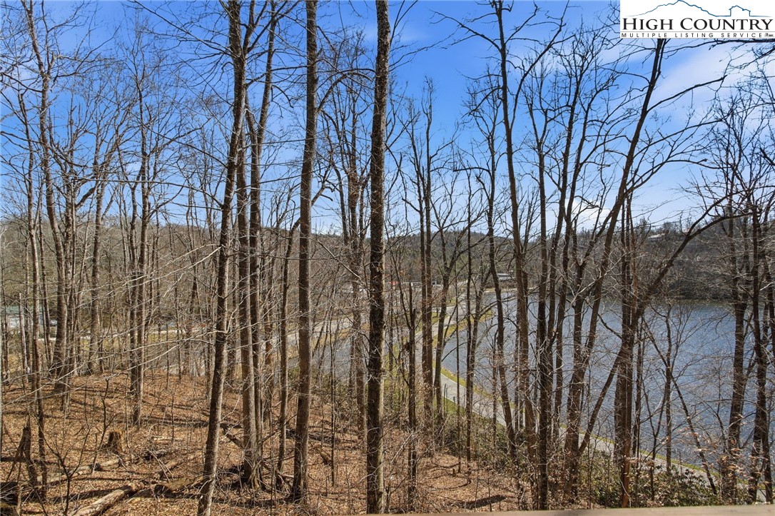 154 Lady Slipper Loop Newland, NC 28657 - Photo 2 of 50 a view of outdoor space with lots of trees