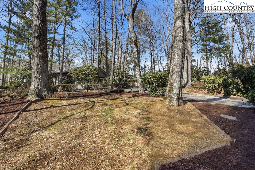 154 Lady Slipper Loop Newland, NC 28657 - Photo 3 of 50