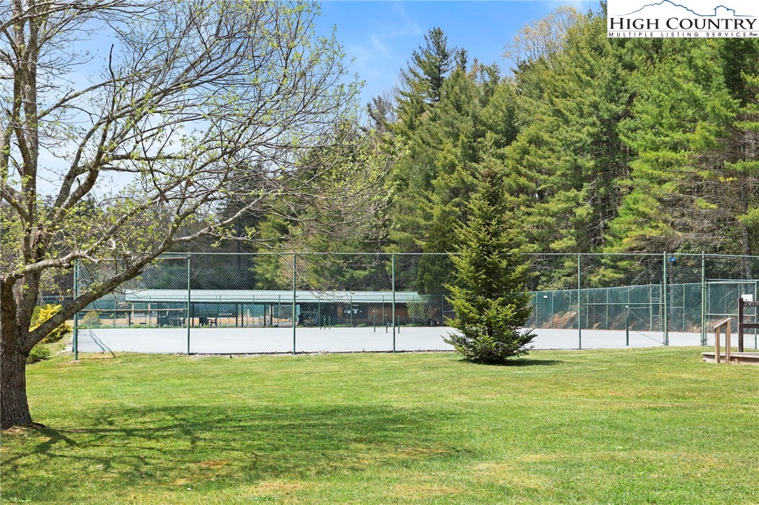 154 Lady Slipper Loop Newland, NC 28657 - Photo 46 of 50 a view of a park with large trees