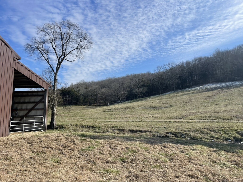 501 Gray Road Lynchburg, TN 37352 - Photo 25 of 44 a view of a backyard of the house