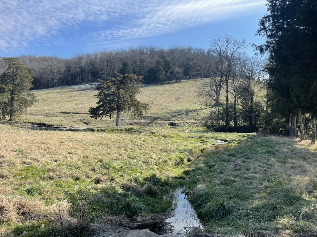 501 Gray Road Lynchburg, TN 37352 - Photo 29 of 44 a view of a lake with a yard