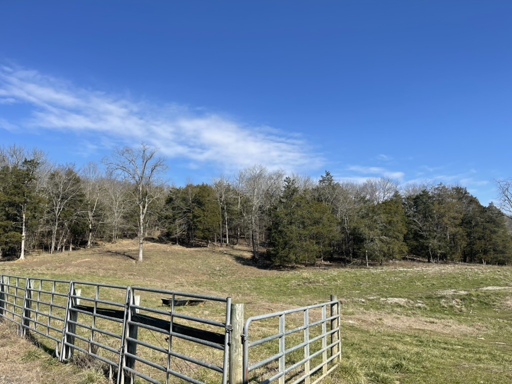 501 Gray Road Lynchburg, TN 37352 - Photo 36 of 44 a view of a yard with a house