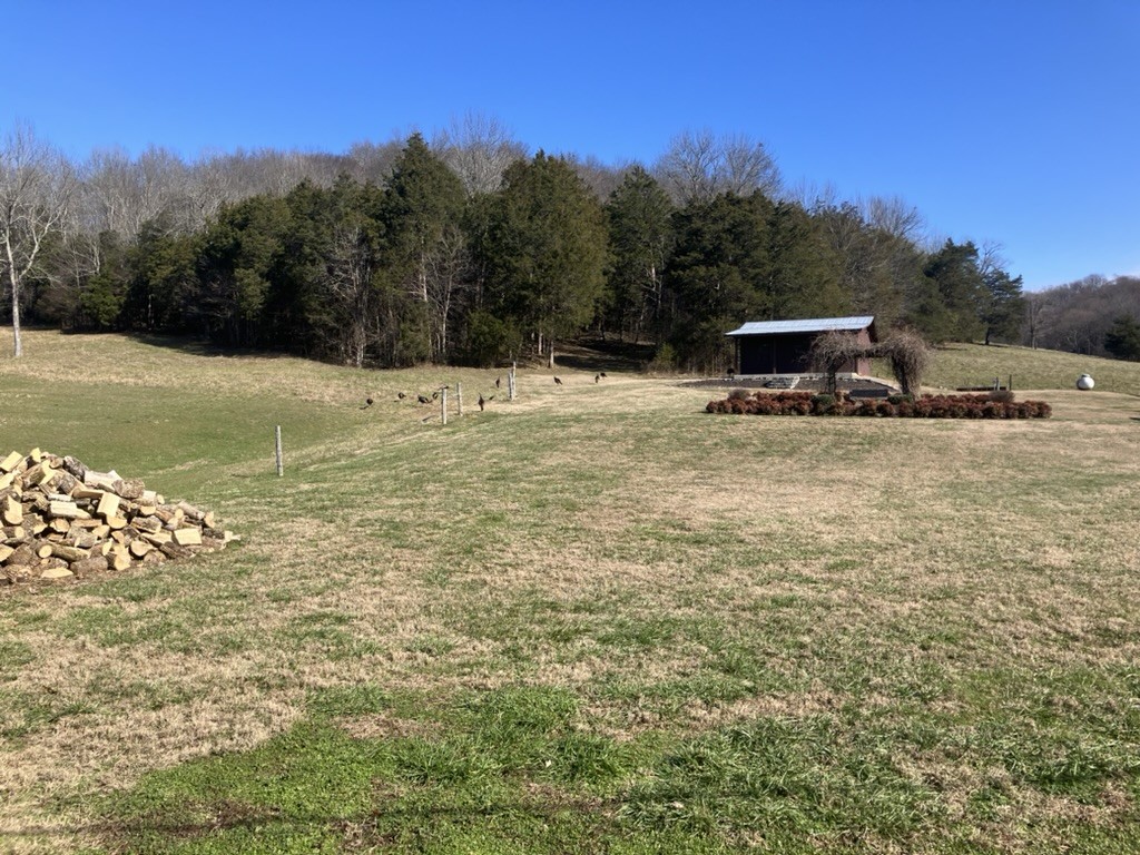 501 Gray Road Lynchburg, TN 37352 - Photo 43 of 44 a view of a backyard of the house