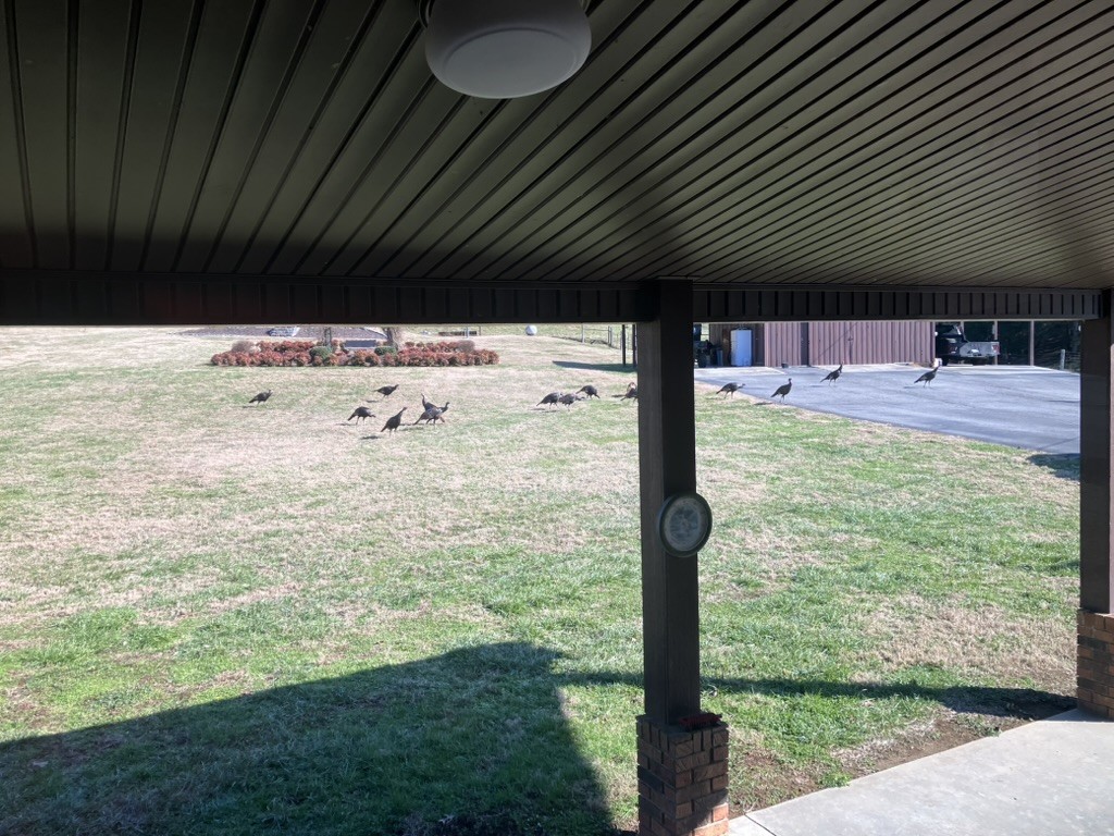501 Gray Road Lynchburg, TN 37352 - Photo 44 of 44 a view of backyard with garden