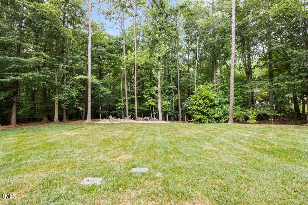 10041 Old Warden Road Raleigh, NC 27615 - Photo 45 of 50 45-2A1A7720